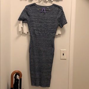 Seraphine Maternity/nursing dress size 6